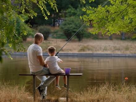 Arlington Heights Paternity Lawyer